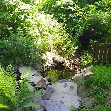 Na Jamajce Сasa de vacaciones *