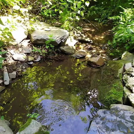 Na Jamajce * Šternberk