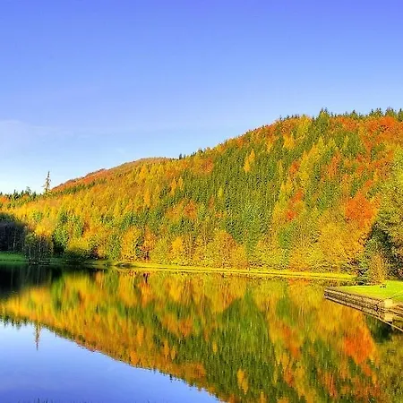 Na Jamajce Сasa de vacaciones