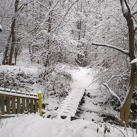 Na Jamajce Сasa de vacaciones *