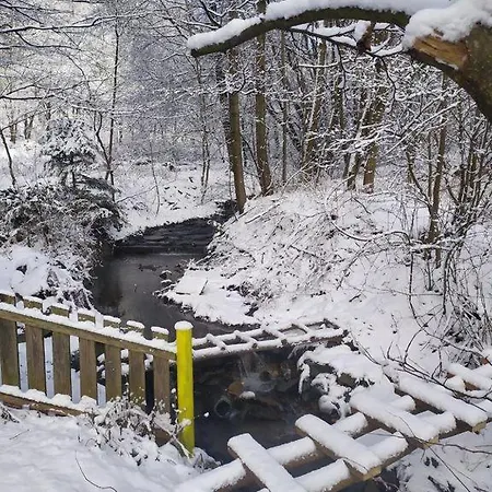 Na Jamajce Сasa de vacaciones