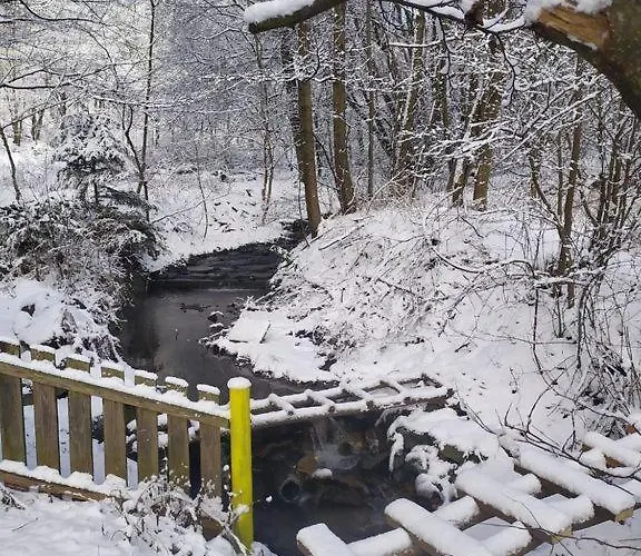 Na Jamajce Ferienhaus